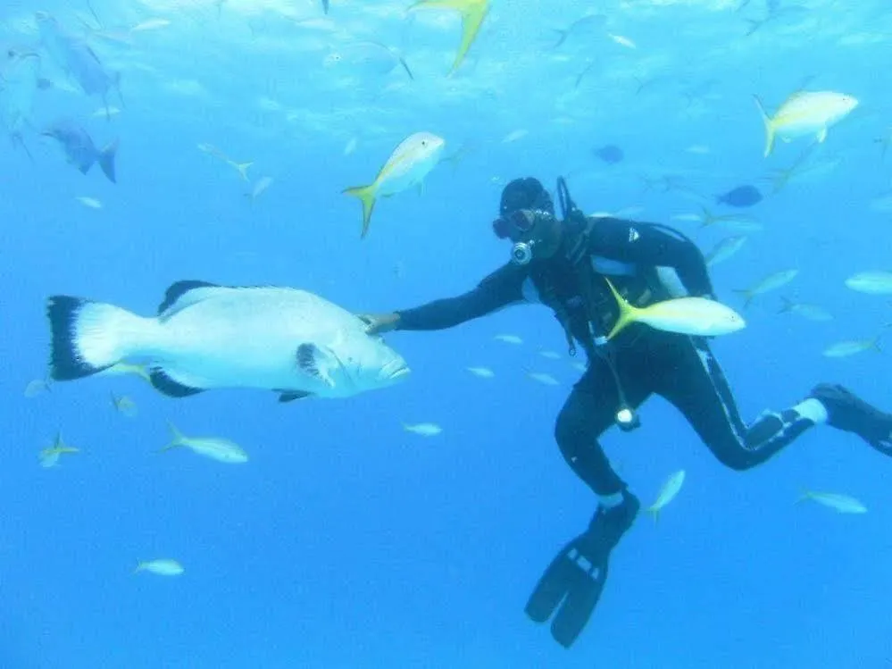 Bell Channel Inn Hotel&Scuba Diving Retreat Freeport 3*,  Bahamas